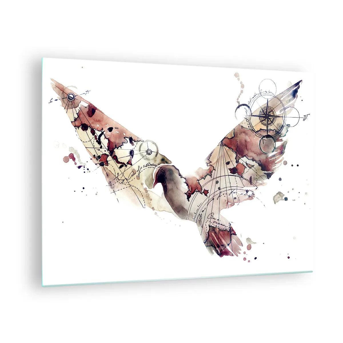 Impression sur verre - Image sur verre - Ailes de style artistique abstrait sur fond blanc - 70x50cm - Un pèlerin volant - Décoration murale moderne pour le salon et la chambre ARTTOR
