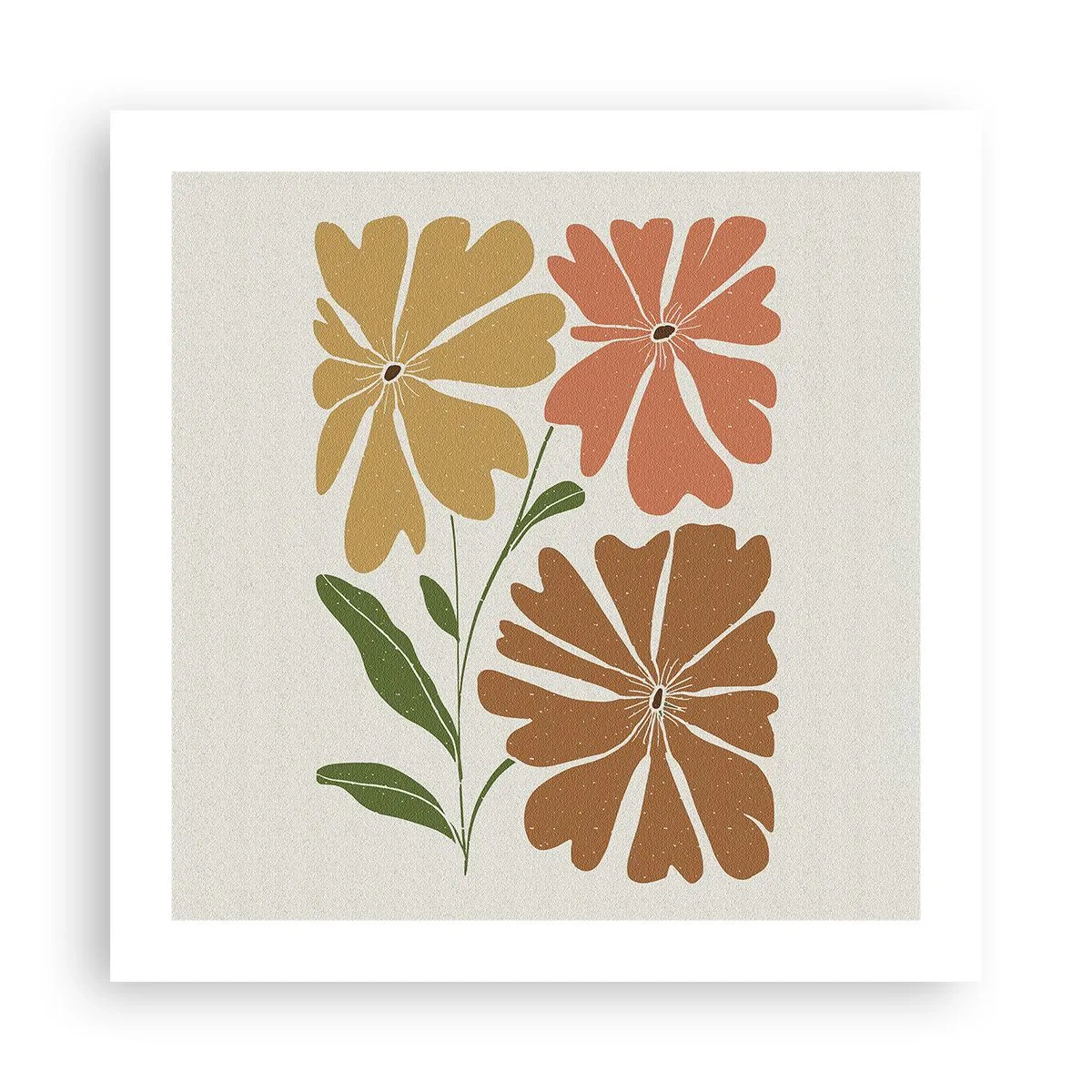 Affiche - Poster - Nature et géométrie - 50x50 cm