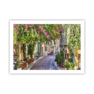 Affiche - Poster - Allée fleurie - 70x50 cm