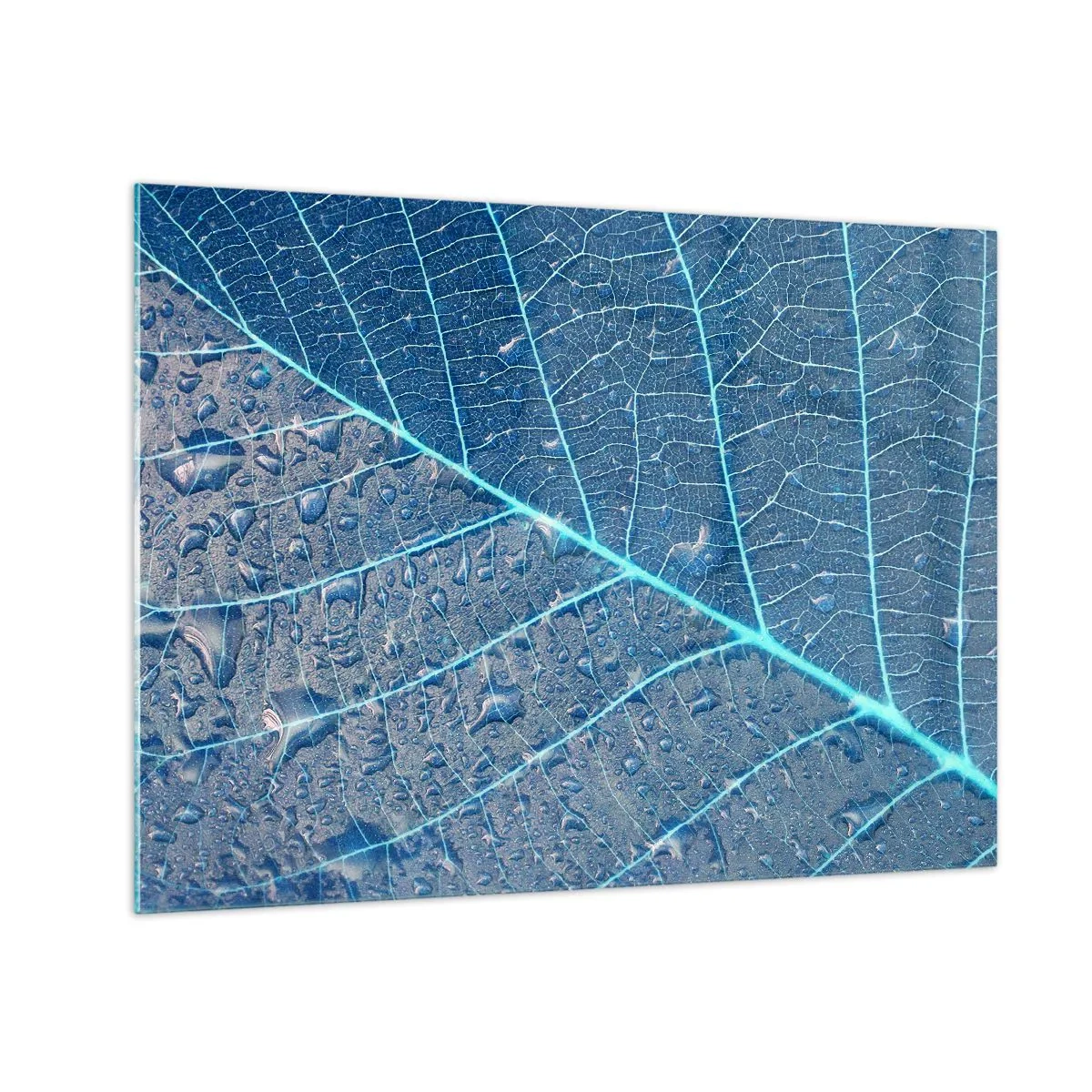 Impression sur verre - Image sur verre - Macrophotographie d'une feuille avec des gouttes d'eau dans des tons de bleu - 70x50cm - La vie en bleu - Décoration murale moderne pour le salon et la chambre ARTTOR