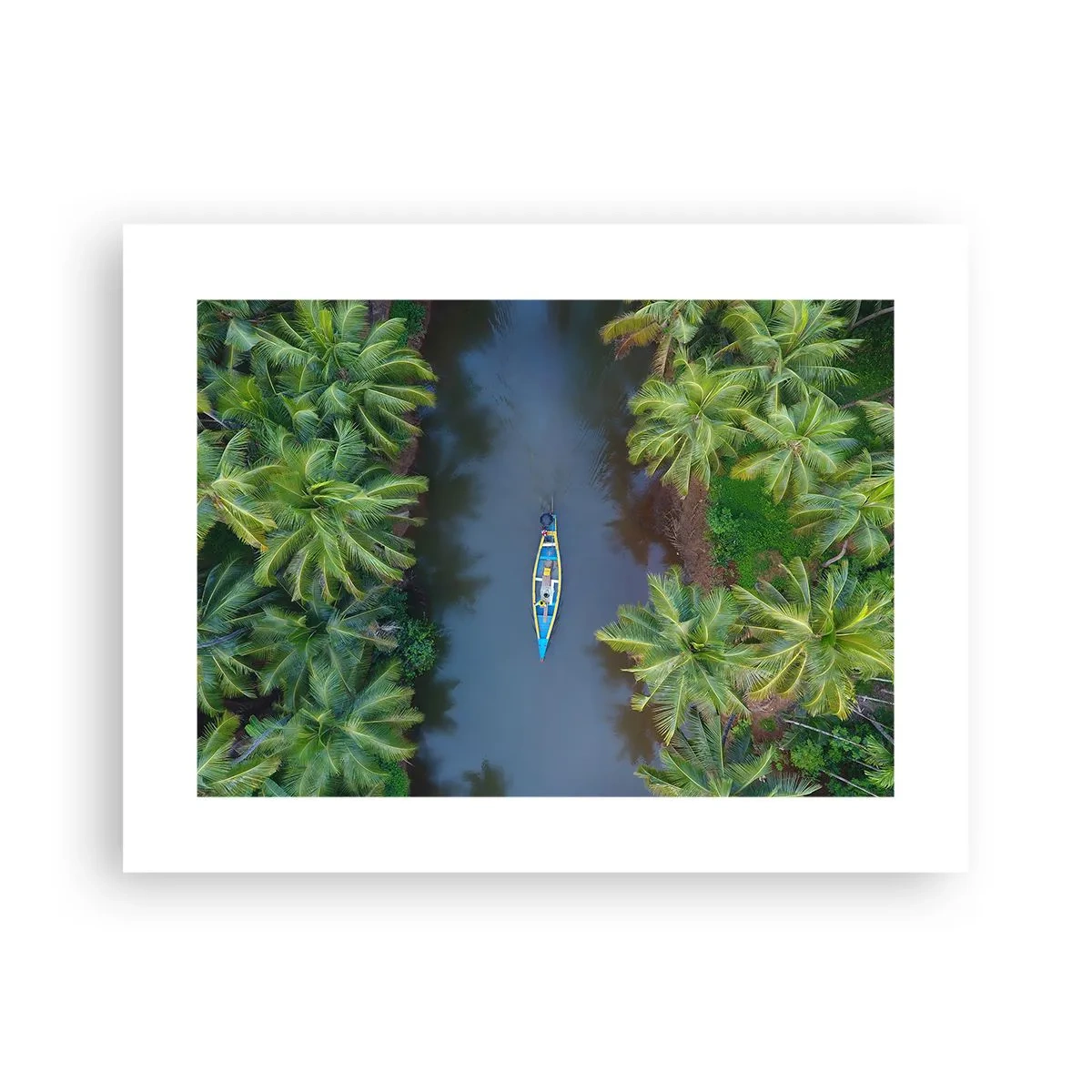 Affiche - Poster - Sur un sentier tropical - 40x30 cm