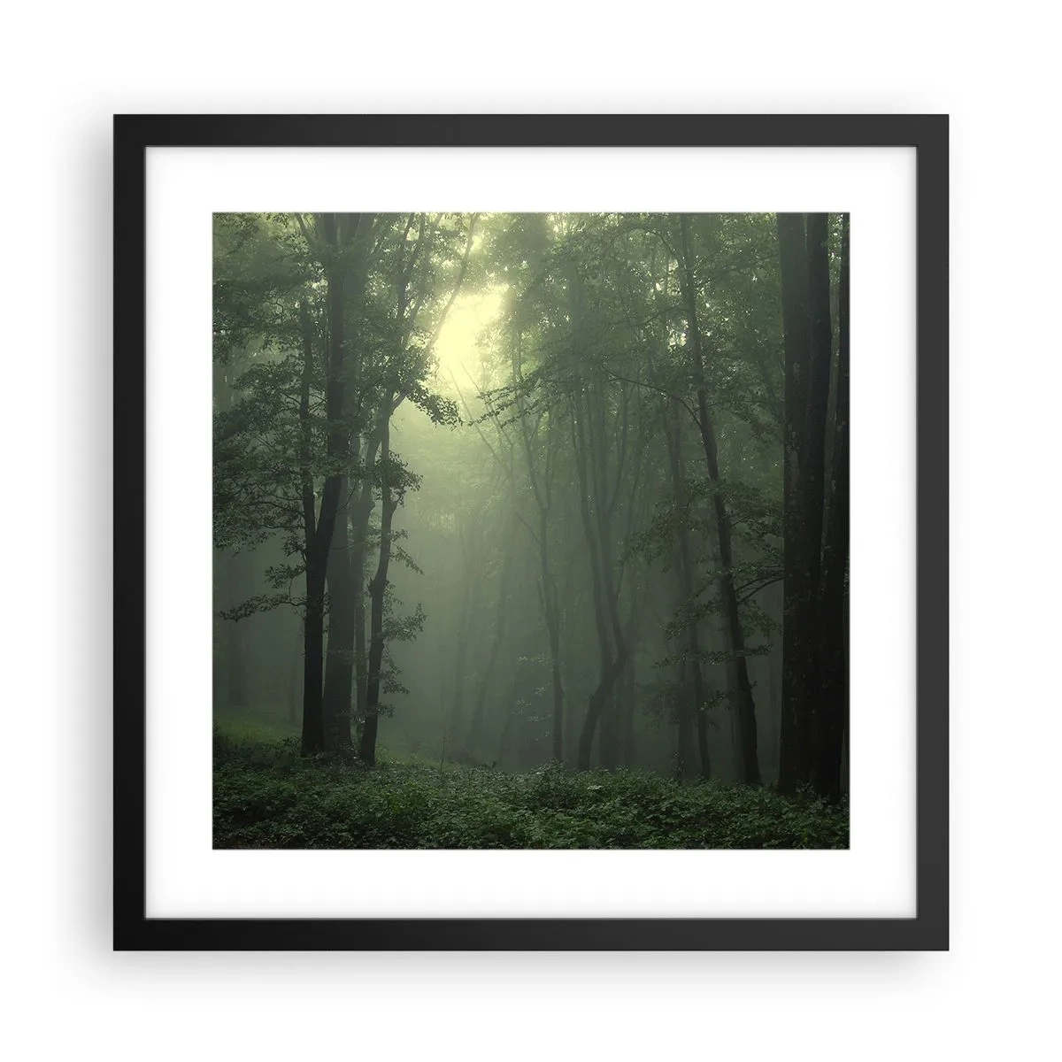 Affiche dans un cadre noir - Poster - Avant qu'il ne se réveille - 40x40 cm