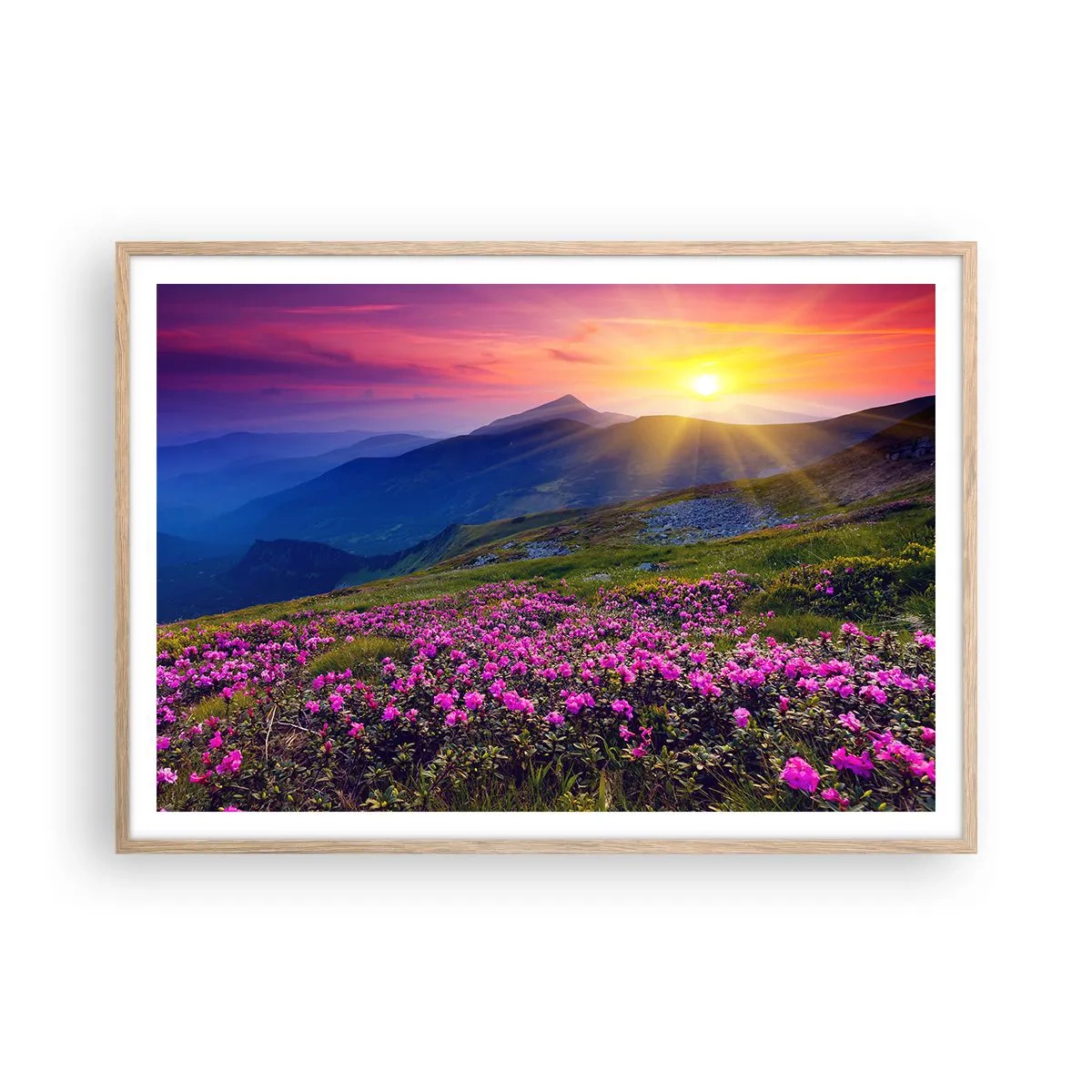 Affiche dans un chêne clair - Poster - … Et autour, ça sent le pin des montagnes et l'odeur de la prairie - 100x70 cm