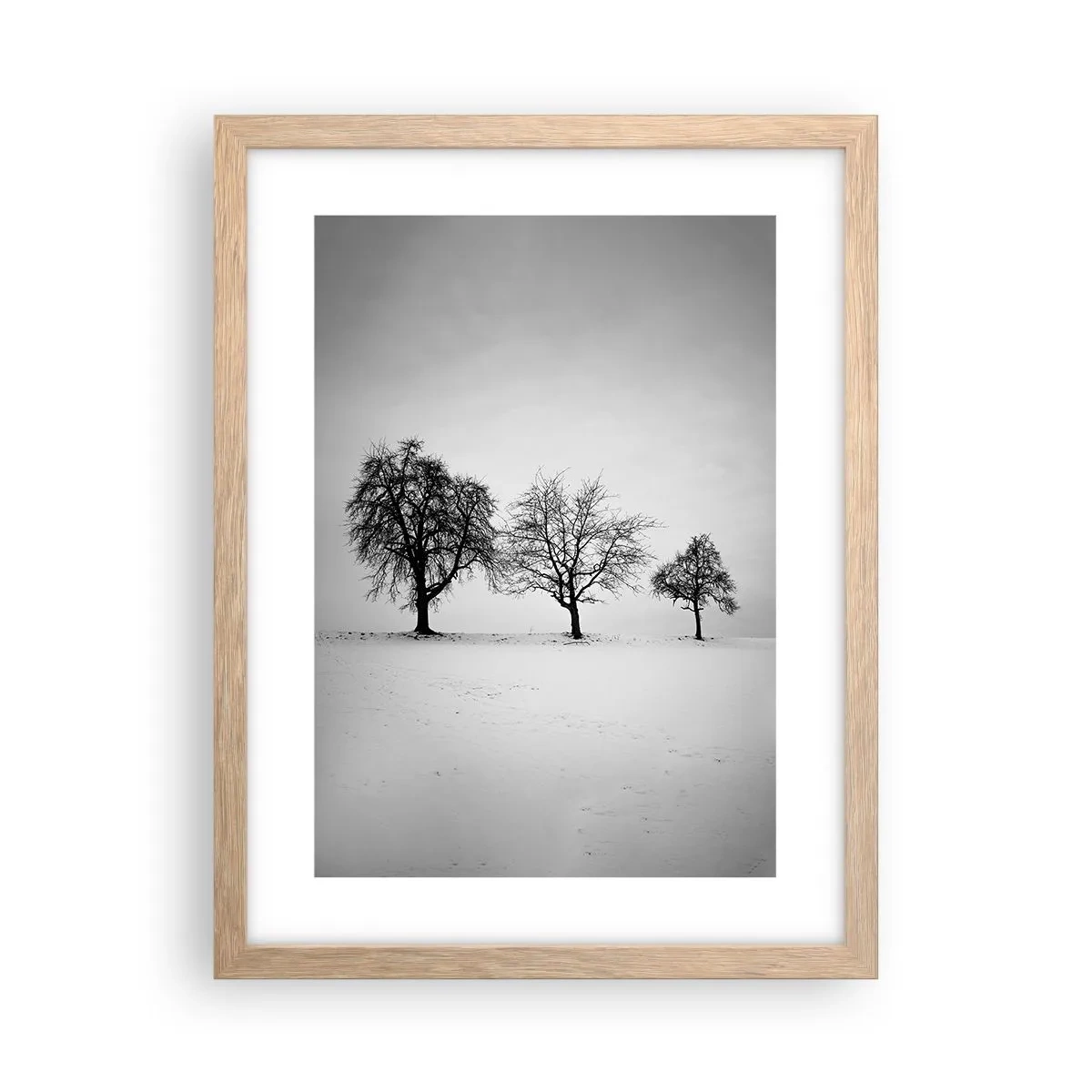 Affiche dans un chêne clair - Poster - A quoi rêvent-ils? - 30x40 cm