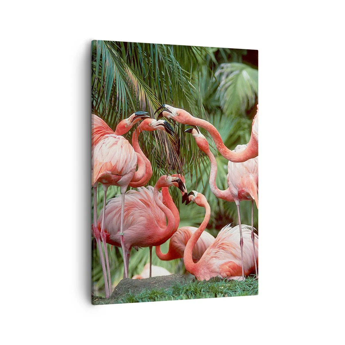 Impression sur toile - Image sur toile - Un groupe de flamants roses dans un cadre tropical entouré de palmiers - 50x70cm - Potins d'après-midi - Décoration murale moderne pour le salon et la chambre ARTTOR