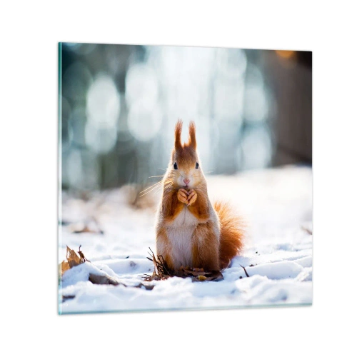 Impression sur verre - Image sur verre - Qu'est ce que tu regardes comme ça? - 40x40 cm