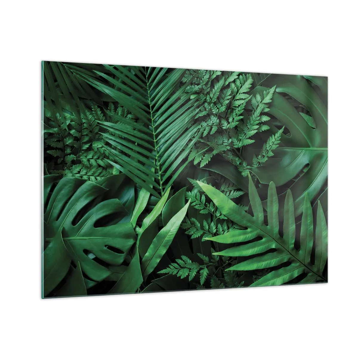 Impression sur verre - Image sur verre - Feuilles vertes denses de plantes tropicales dans la composition - 100x70cm - Emmitouflé de verdure - Décoration murale moderne pour le salon et la chambre ARTTOR
