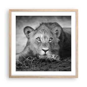 Affiche dans un chêne clair - Poster - Chiot royal - 50x50 cm