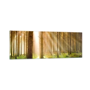 Impression sur verre - Image sur verre - Les elfes vont bientôt apparaître - 90x30 cm