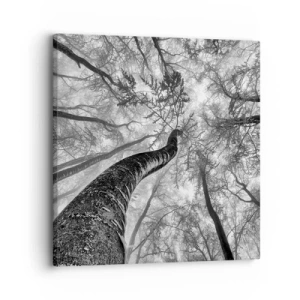 Impression sur toile - Image sur toile - Course vers la lumière - 30x30 cm