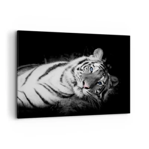 Impression sur toile - Image sur toile - Un tigre blanc rendu artistiquement sur un fond noir - 120x80cm - Sauvagerie et paix - Décoration murale moderne pour le salon et la chambre ARTTOR