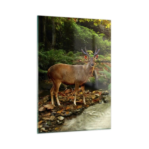 Impression sur verre - Image sur verre - Un cerf près d'un ruisseau dans une forêt ensoleillée - 50x70cm - Bienvenue dans mon monde - Décoration murale moderne pour le salon et la chambre ARTTOR