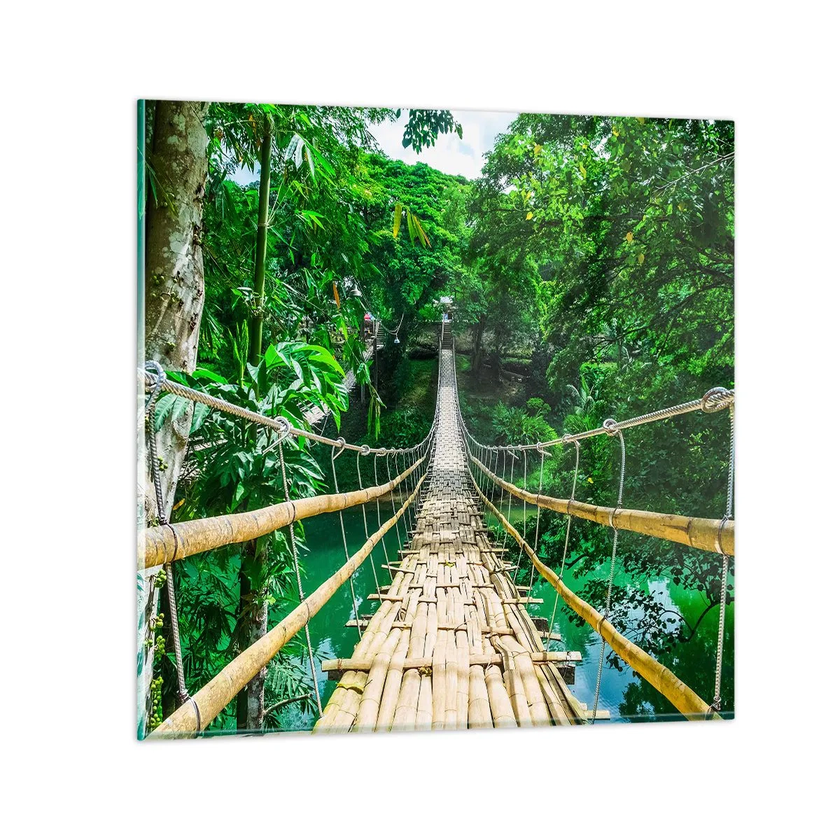 Impression sur verre - Image sur verre - Pont de singe en pleine nature - 30x30 cm