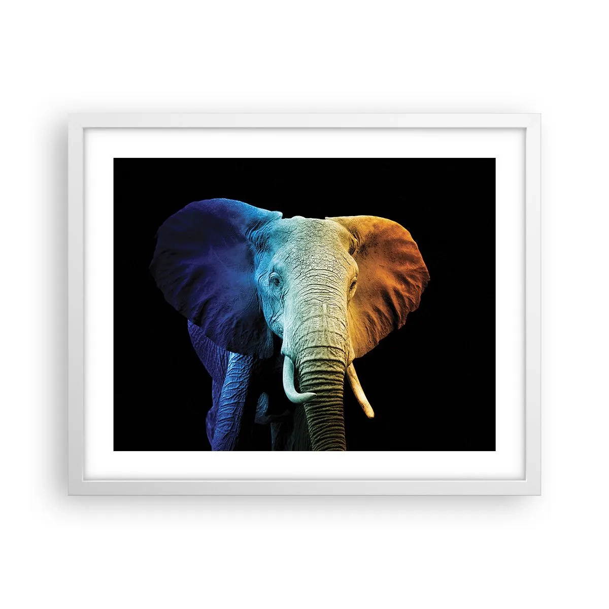 Affiche dans un cadre blanc - Poster - Excentrique, pas bizarre - 50x40 cm