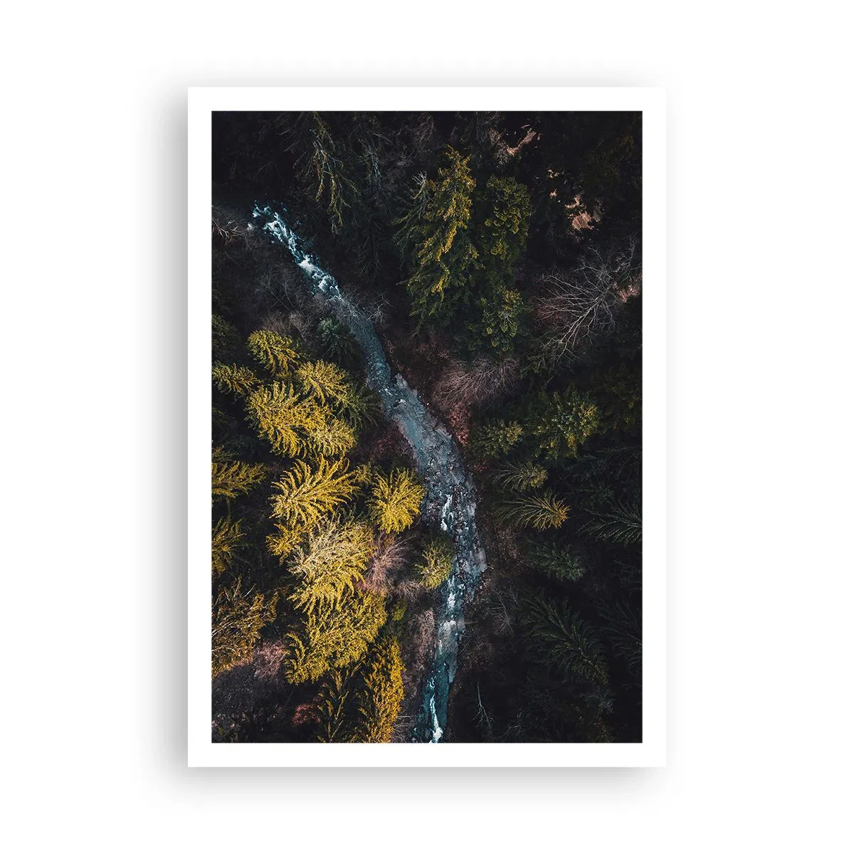 Affiche - Poster - De plus en plus vite - 70x100 cm