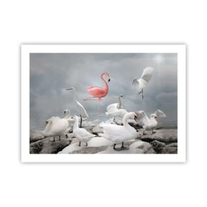 Affiche - Poster - Comment suis-je arrivé là? - 70x50 cm