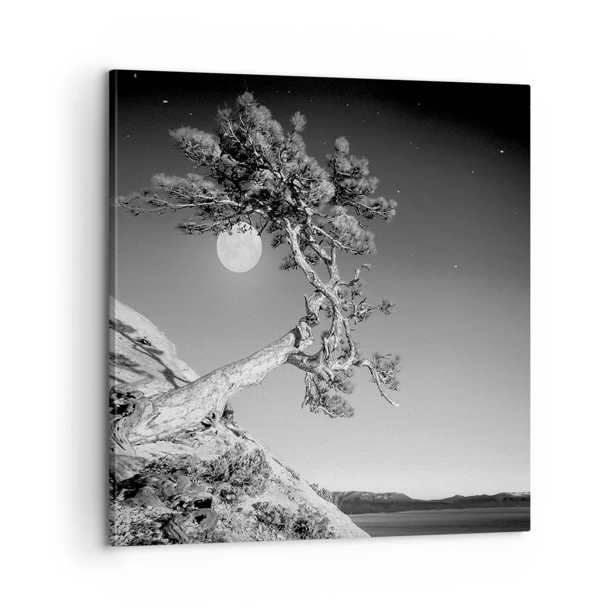 Impression sur toile - Image sur toile - Un combattant vainqueur - 60x60 cm