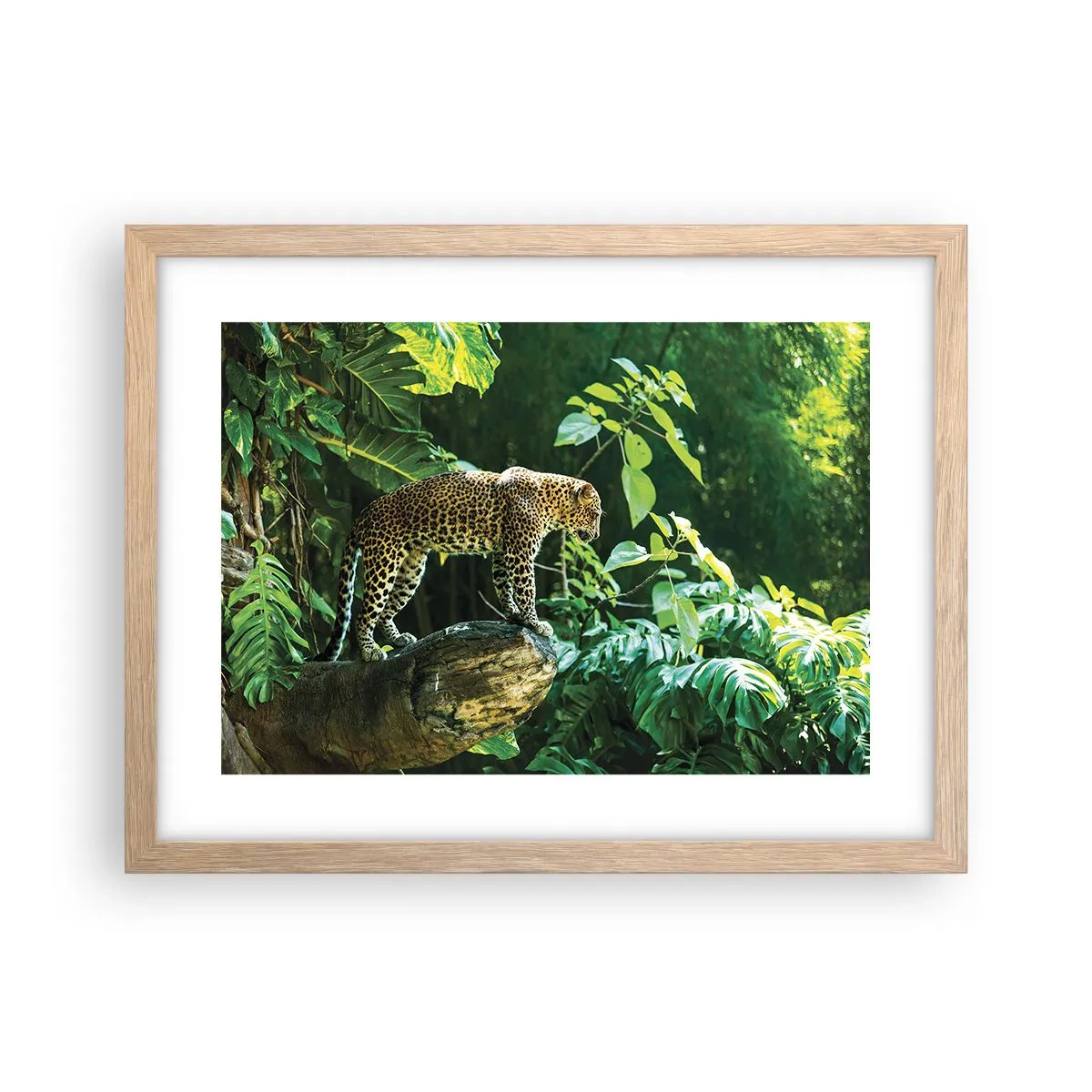 Affiche dans un chêne clair - Poster - À la chasse? - 40x30 cm