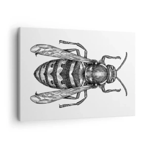 Impression sur toile - Image sur toile - Un motif de guêpe de dessin animé sur fond blanc dans un style minimaliste. - 70x50cm - D'une planète d'insectes - Décoration murale moderne pour le salon et la chambre ARTTOR