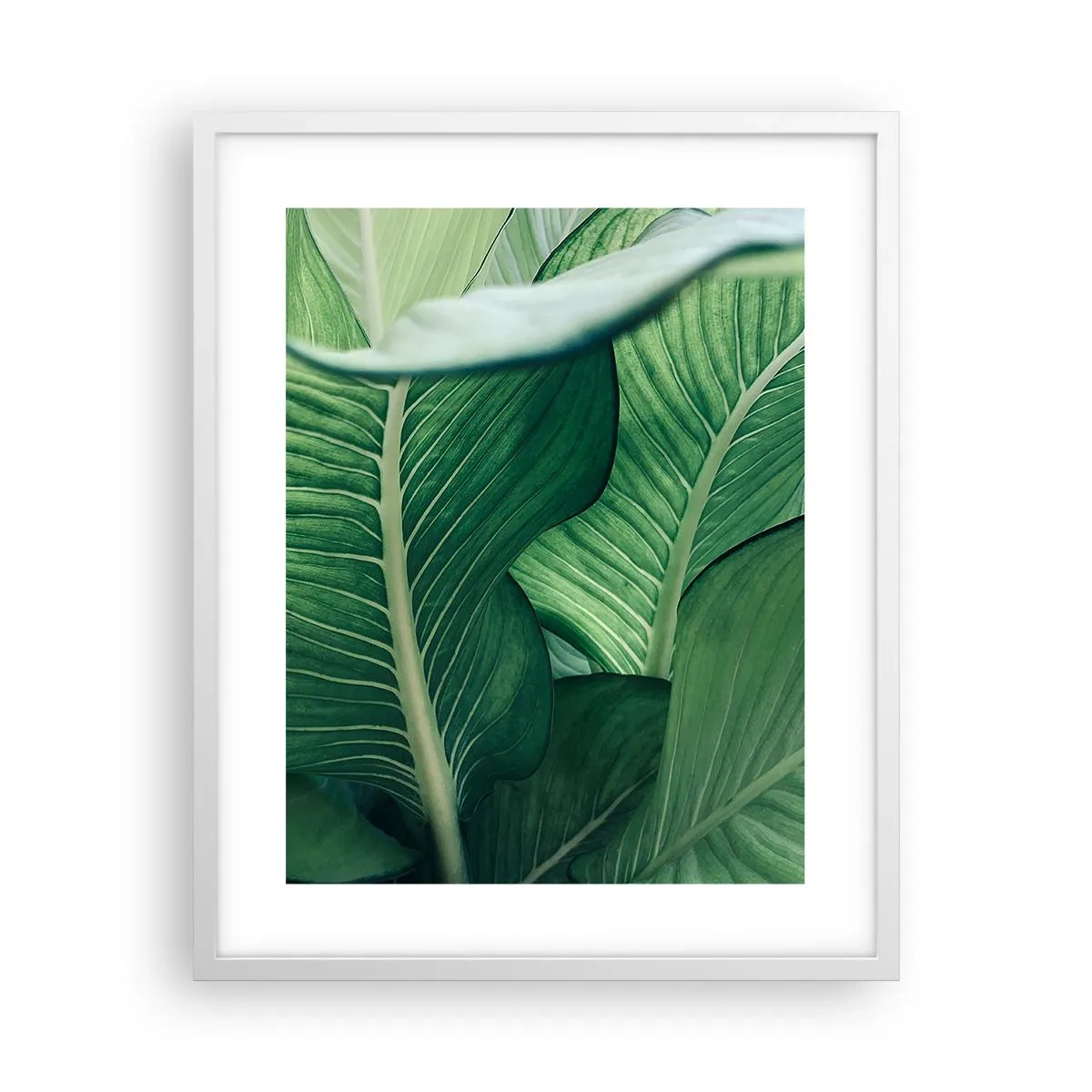 Affiche dans un cadre blanc - Poster - Une vie intensément verte - 40x50 cm