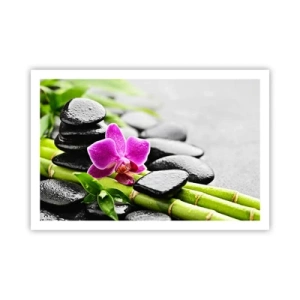 Affiche - Poster - Dans un équilibre de calme - 91x61 cm