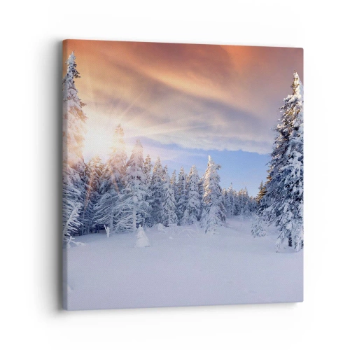 Impression sur toile - Image sur toile - Un spectacle enneigé de la nature - 40x40 cm