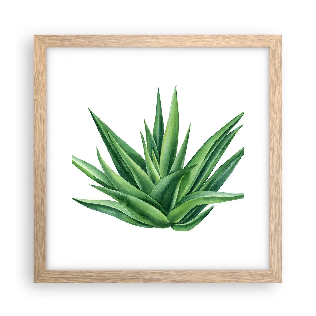 Affiche dans un chêne clair - Poster - Vert – force – vie - 30x30 cm