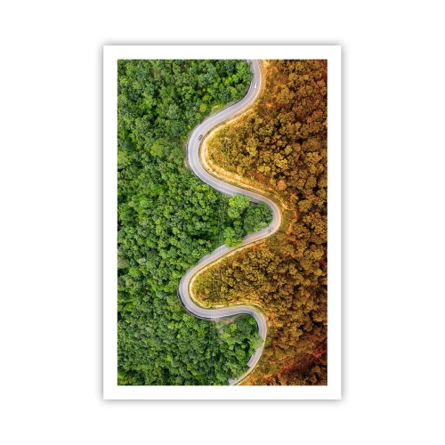 Affiche - Poster - Frontieres et differences - 61x91 cm