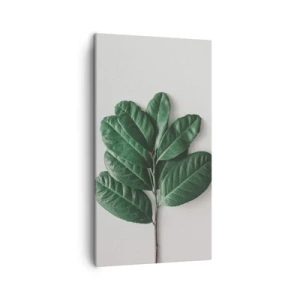 Impression sur toile - Image sur toile - Dessin de la nature elle-même - 45x80 cm