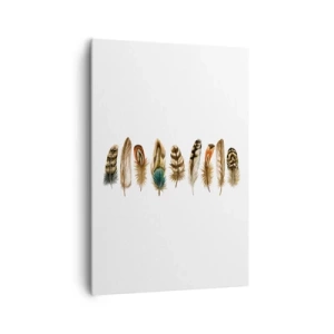 Impression sur toile - Image sur toile - Motif décoratif d'une collection de plumes diverses - 70x100cm - Variation à plumes - Décoration murale moderne pour le salon et la chambre ARTTOR