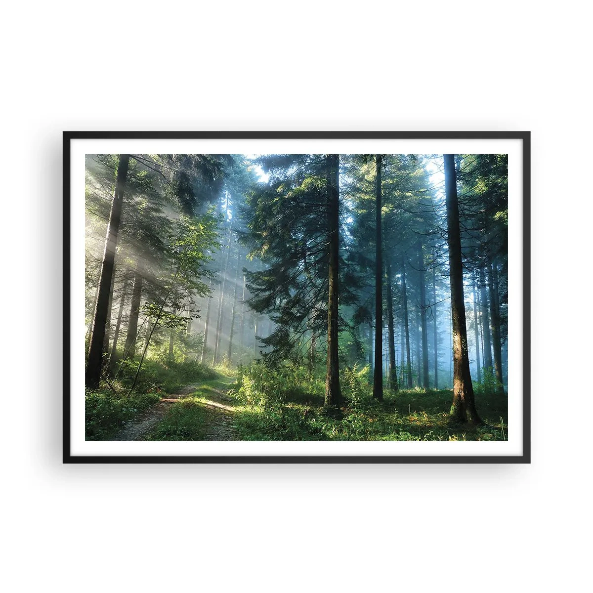 Affiche dans un cadre noir - Poster - Un chemin forestier illuminé par les rayons du soleil du matin - 100x70cm - Rayonnant le matin - Décoration murale moderne pour le salon et la chambre ARTTOR