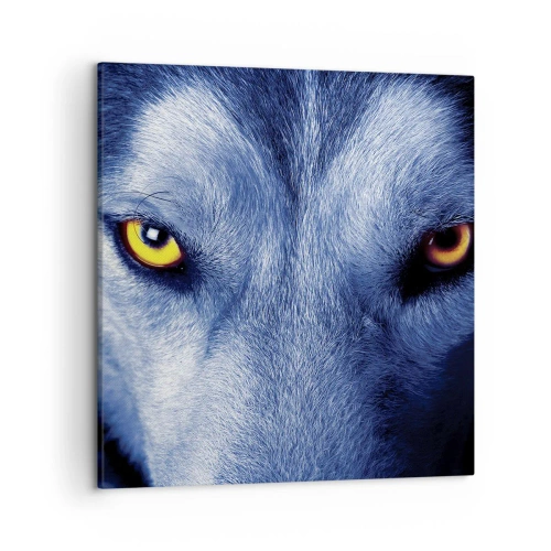 Impression sur toile - Image sur toile - Regars hypnotique - 50x50 cm