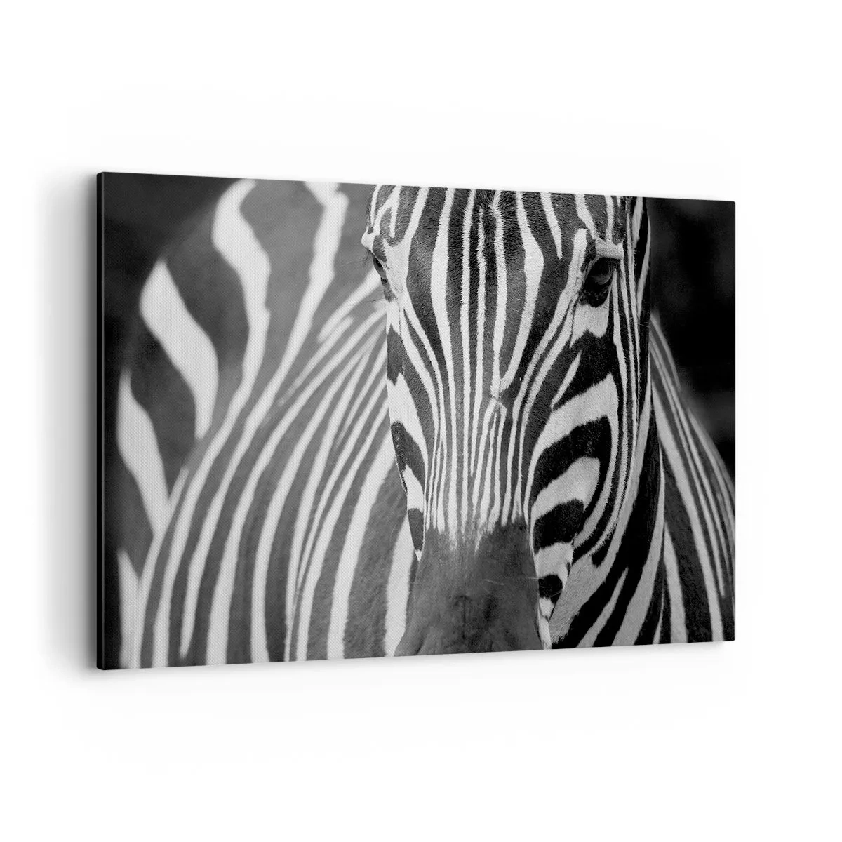 Impression sur toile - Image sur toile - Gros plan noir et blanc d'un zèbre avec ses rayures distinctives. - 120x80cm - Le monde est noir et blanc - Décoration murale moderne pour le salon et la chambre ARTTOR