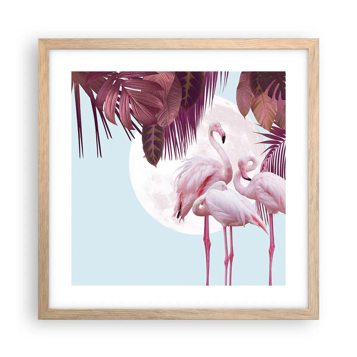 Affiche dans un chêne clair - Poster - Trois oiseaux gracieux - 40x40 cm