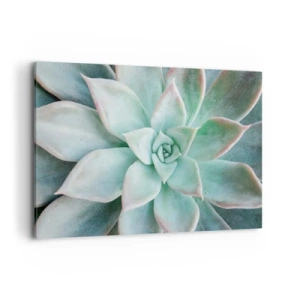 Impression sur toile - Image sur toile - Gros plan d'une succulente verte - 100x70cm - Le coeur du désert - Décoration murale moderne pour le salon et la chambre ARTTOR