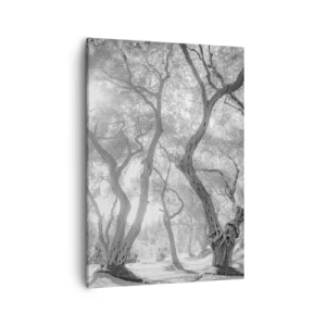 Impression sur toile - Image sur toile - Vue en noir et blanc d'arbres dans une oliveraie avec des rayons de soleil - 50x70cm - Dans l'oliveraie - Décoration murale moderne pour le salon et la chambre ARTTOR
