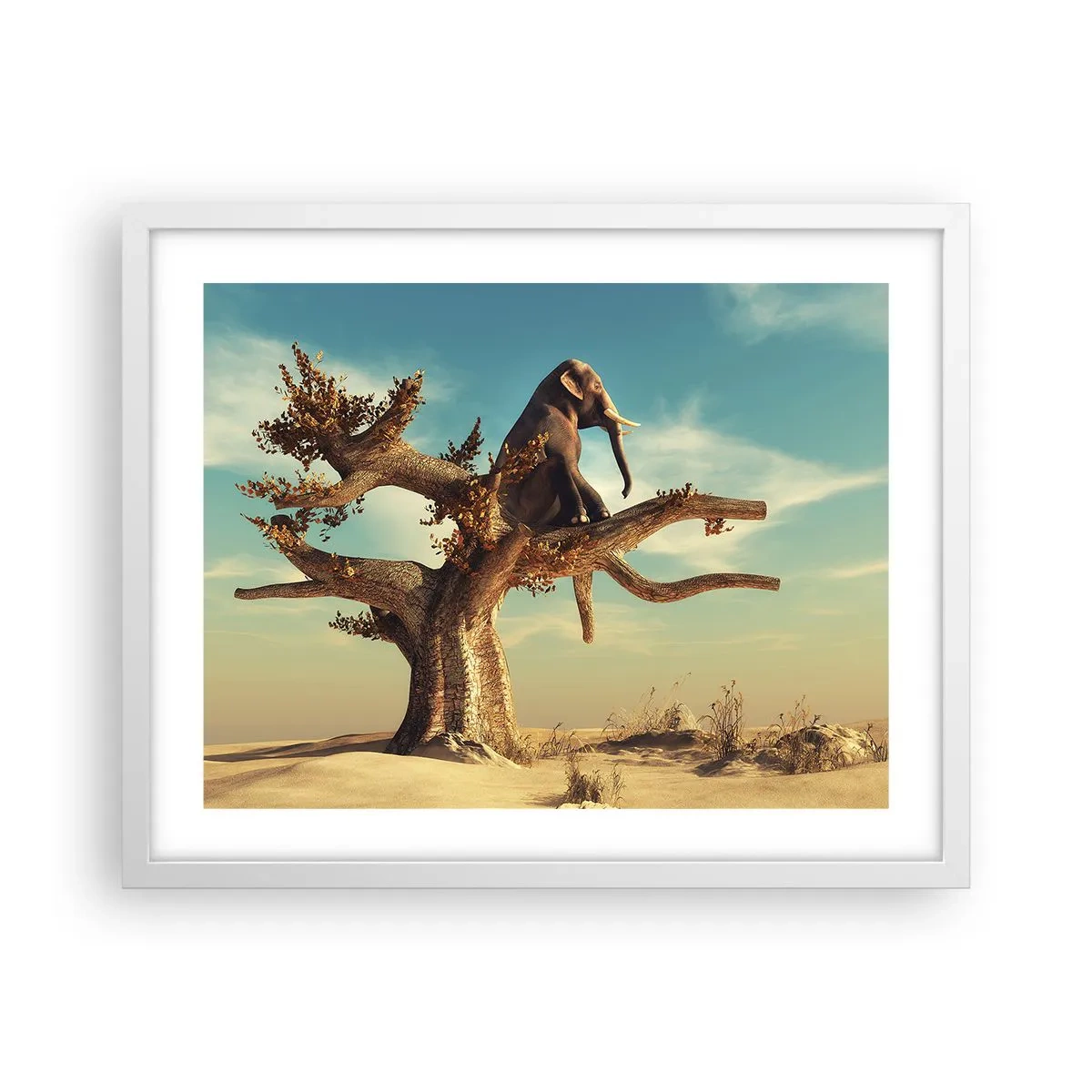 Affiche dans un cadre blanc - Poster - Nouveau point de vue - 50x40 cm