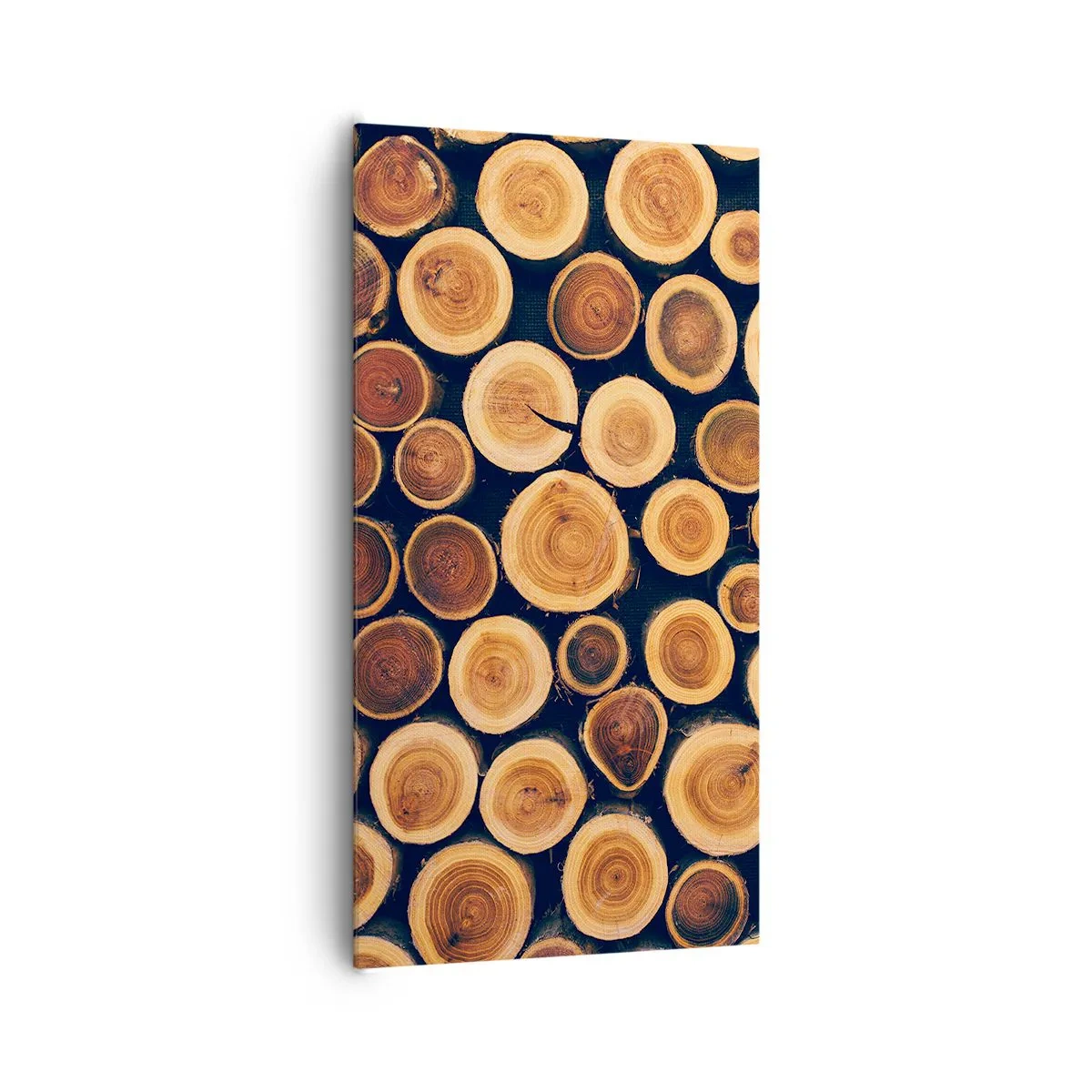 Impression sur toile - Image sur toile - Quel âge je semble avoir ? - 65x120 cm