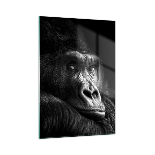 Impression sur verre - Image sur verre - Portrait noir et blanc d'un gorille à l'ombre d'une fenêtre - 50x70cm - Et qu'est-ce que tu regardes? - Décoration murale moderne pour le salon et la chambre ARTTOR