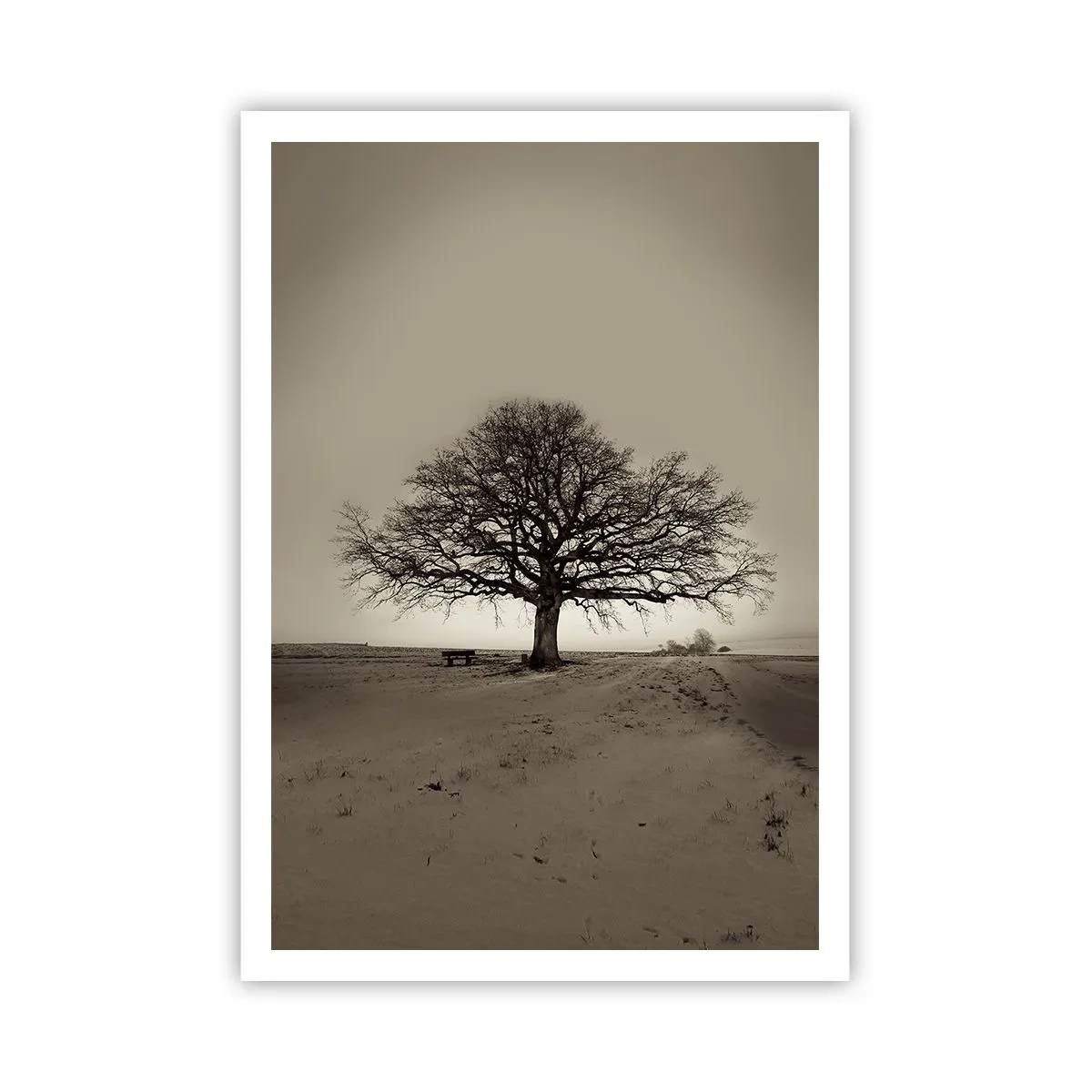 Affiche - Poster - D'ici à l'éternité - 70x100 cm