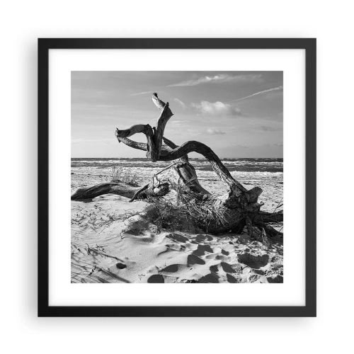 Affiche dans un cadre noir - Poster - Sculpture marine - 40x40 cm
