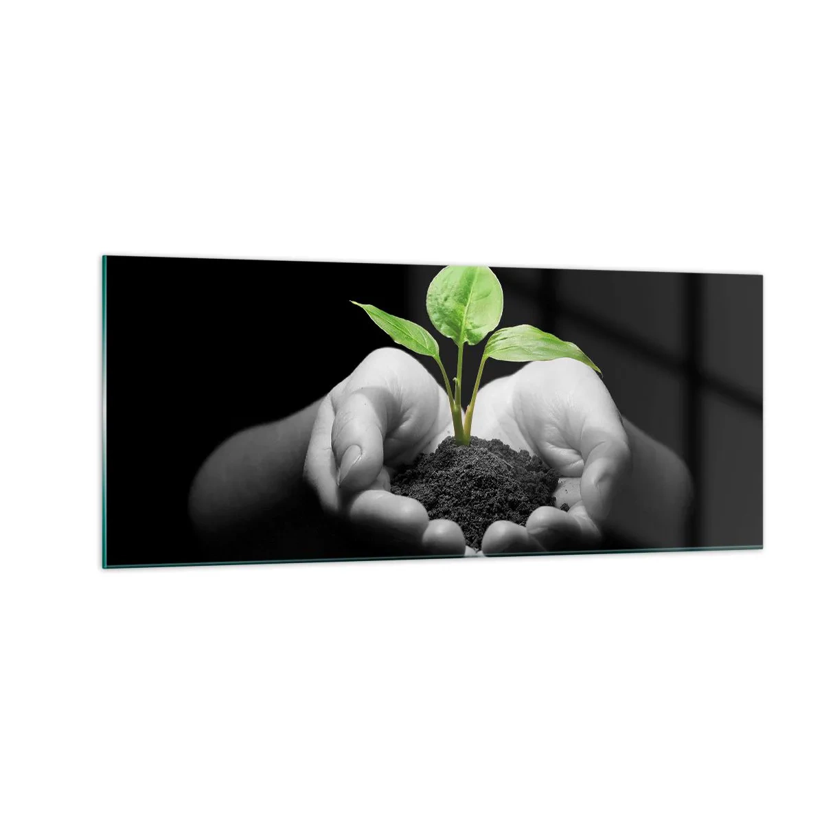 Impression sur verre - Image sur verre - J'aime la nature, je la protège - 100x40 cm