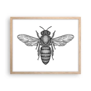 Affiche dans un chêne clair - Poster - Portrait d'insecte - 50x40 cm