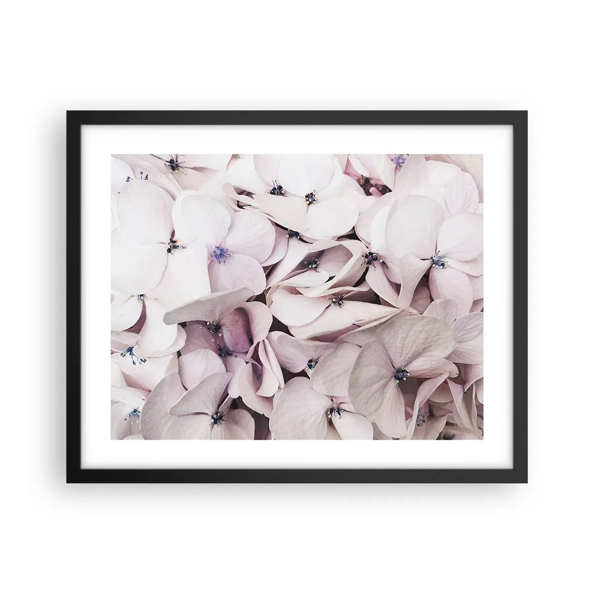 Affiche dans un cadre noir - Poster - Dans un flot de fleurs - 50x40 cm