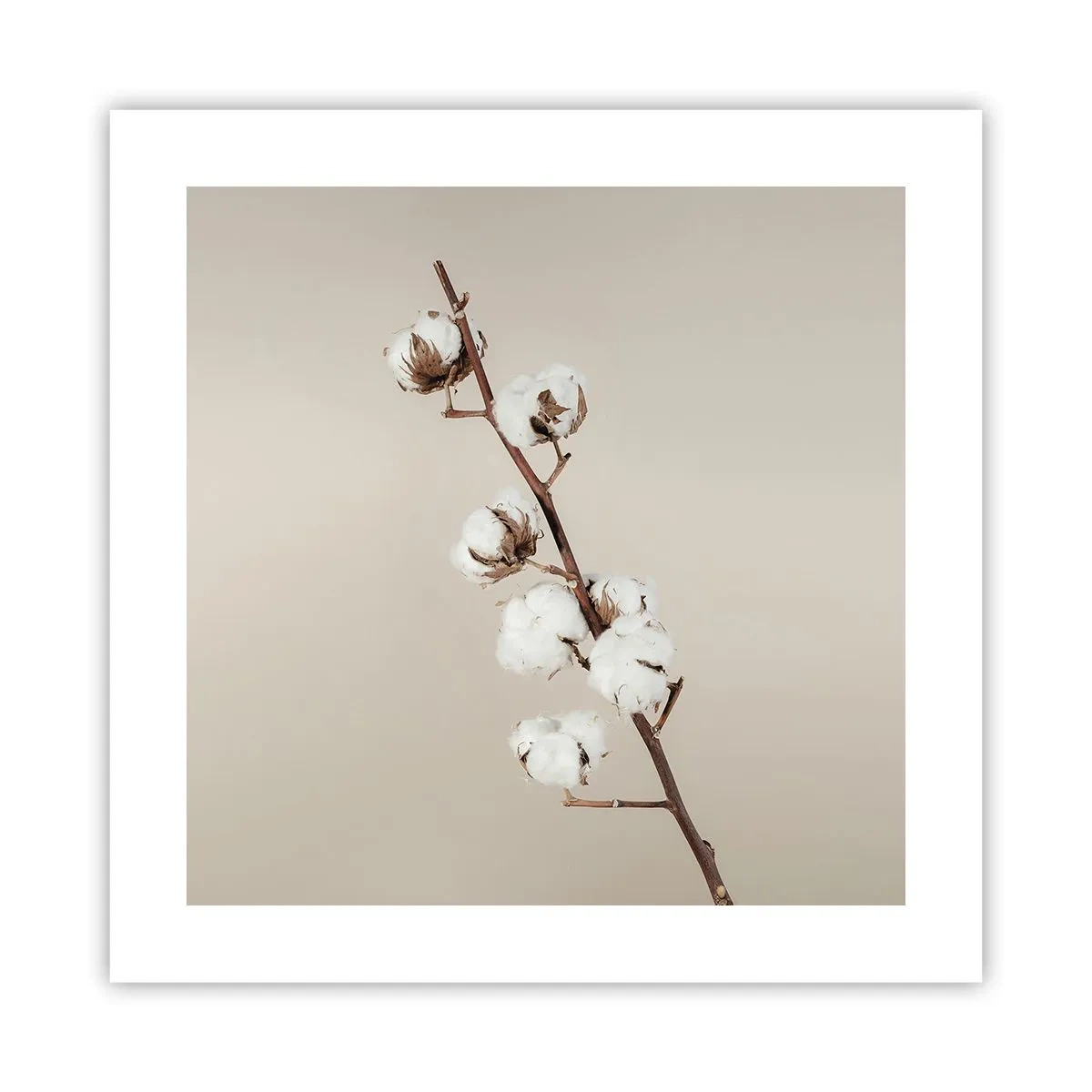 Affiche - Poster - A la source de la douceur - 40x40 cm