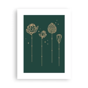 Affiche - Poster - La famille Plante - 30x40 cm