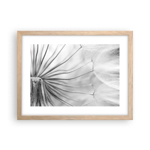 Affiche dans un chêne clair - Poster - Aigrette avant son envol - 40x30 cm