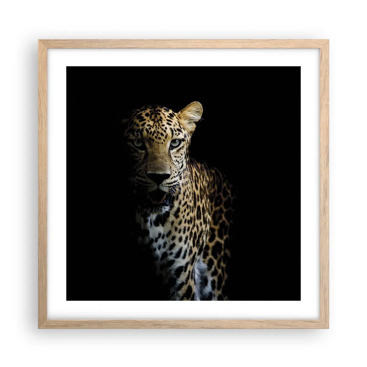 Affiche dans un chêne clair - Poster - Beauté sombre - 50x50 cm