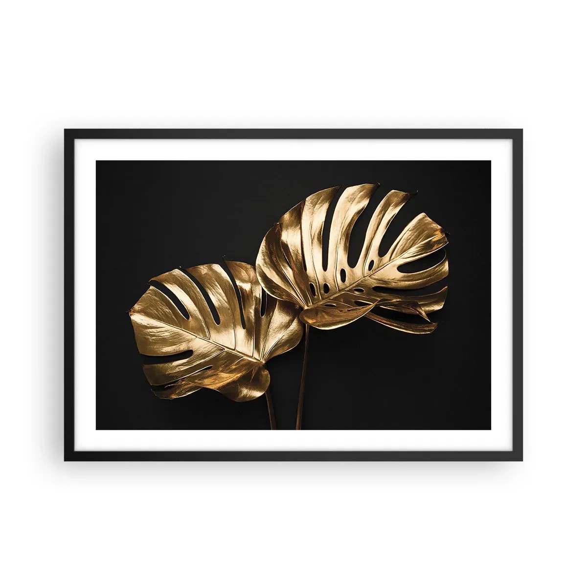 Affiche dans un cadre noir - Poster - Feuilles de monstera dorées sur fond noir - 70x50cm - Les trésors de la nature - Décoration murale moderne pour le salon et la chambre ARTTOR