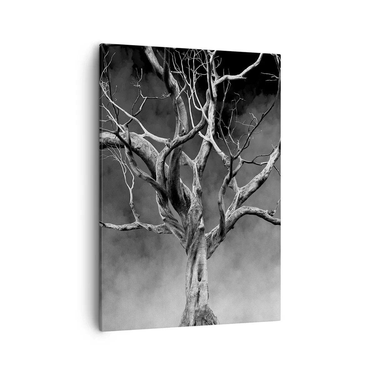 Impression sur toile - Image sur toile - Un arbre sec en noir et blanc contre le brouillard - 50x70cm - Primordial et sacré - Décoration murale moderne pour le salon et la chambre ARTTOR